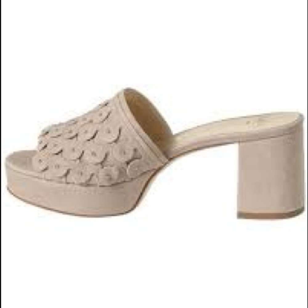 Butter Carina platform mule
